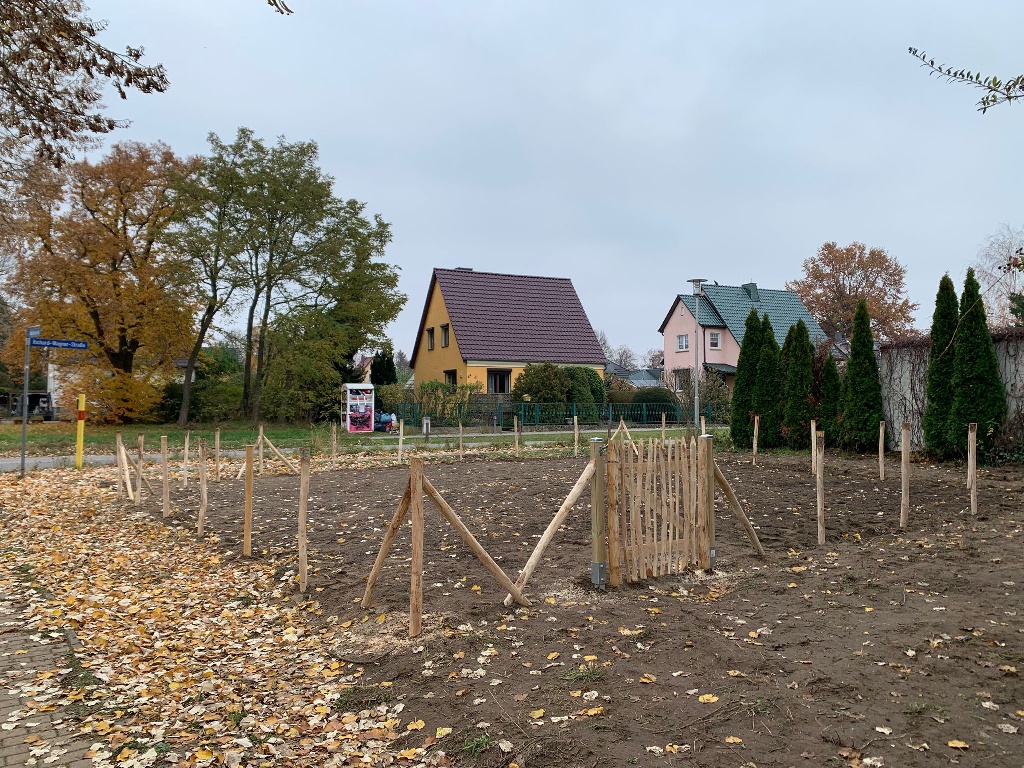 2025-11-12 Bericht – Bäume für die Zukunft – Musikerwald 00